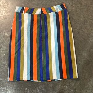 Multicolor Striped Women's Skirt